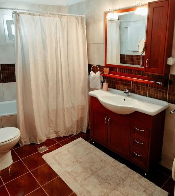 Evaggelia'S Apartments 5 Οικογενειακό Διαμέρισμα Kozani Exteriör bild